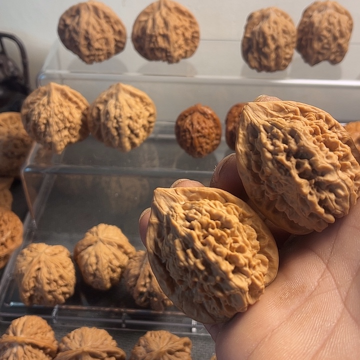 桃核吊坠40王永…………