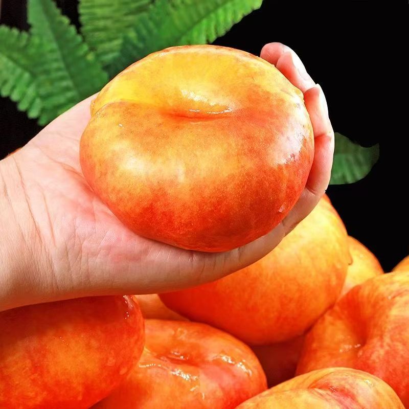 【顺丰】彩虹油蟠桃  紫霞蟠桃新鲜应季夏日尝鲜桃中贵族 现摘现发