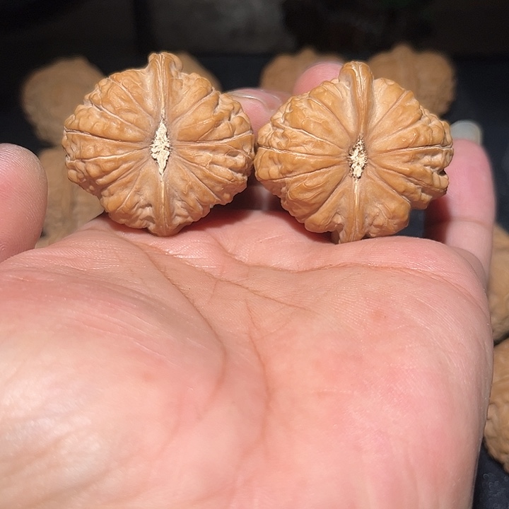 木42精品南瓜。    