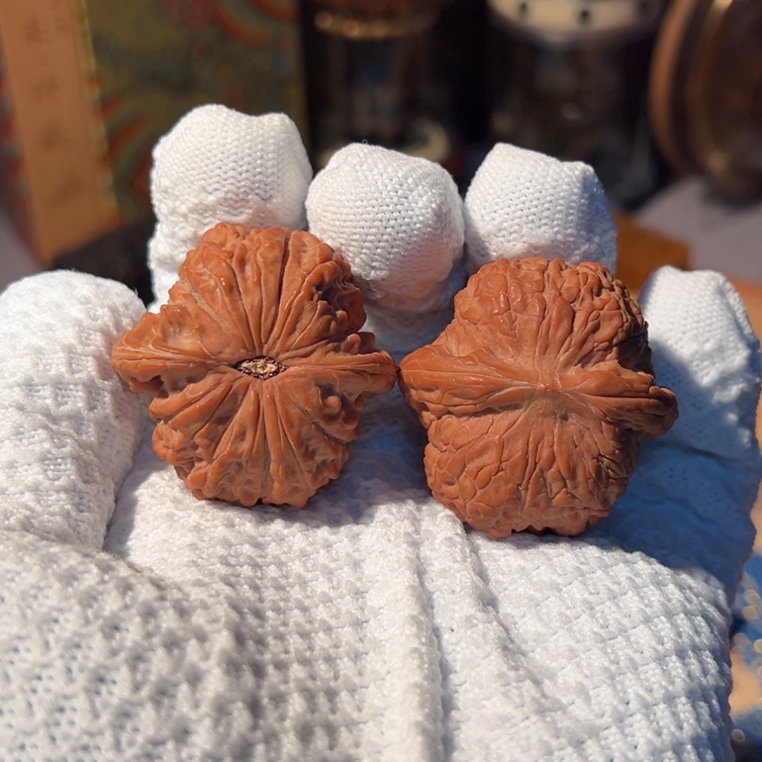 文玩核桃把件全品血麒麟38