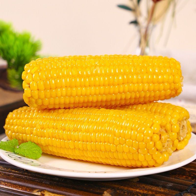 喀什甜糯小玉米 6根 220g 顺丰次日达黄糯玉米新疆维吾尔自治区喀什地区