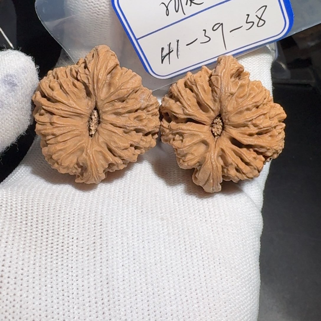 文玩核桃把件31号村将有黄