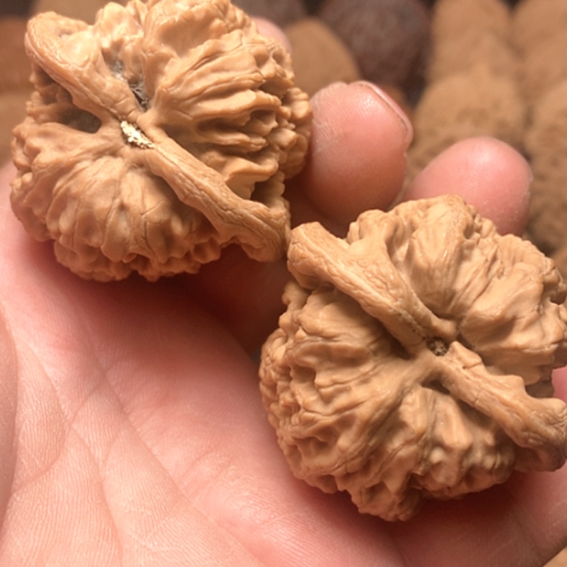 【闪购商品】傅**雪将军磅