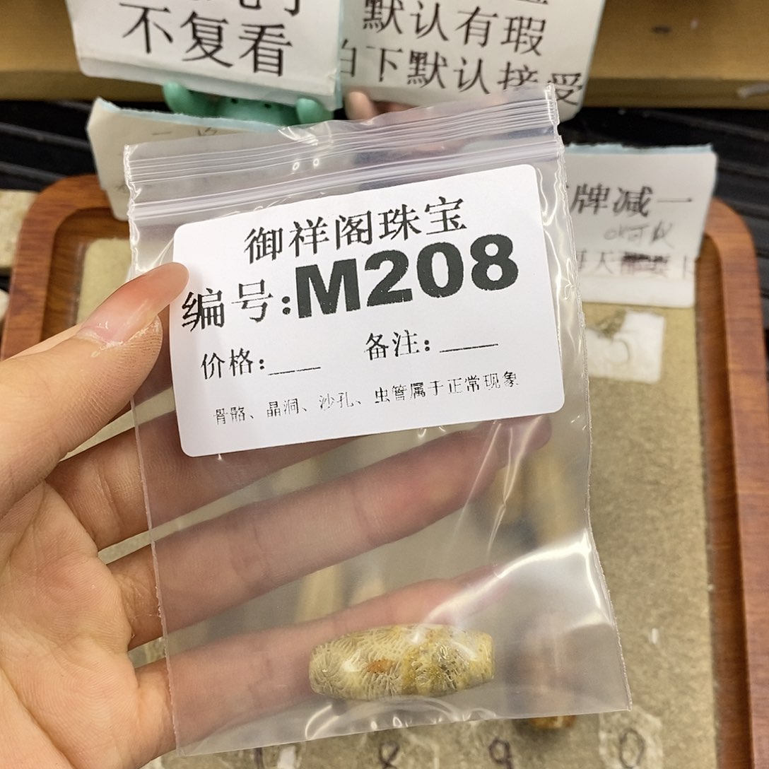 硅化珊瑚（珊瑚玉）未镶嵌颈饰D****?