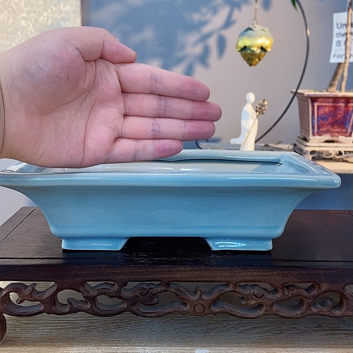 111441111111到手5个