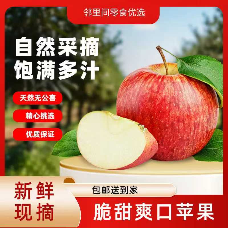 正宗山东红富士应季苹果膜袋红富士新鲜水果