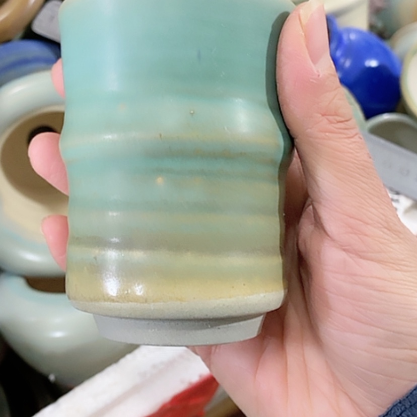 【闪购商品】红陶口6