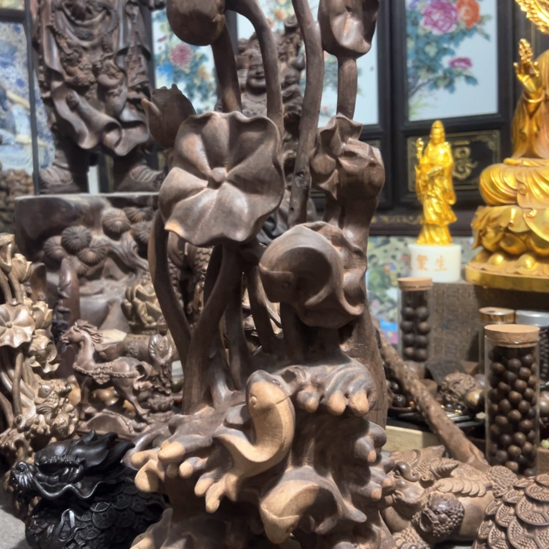 木来，欢迎老师们进入