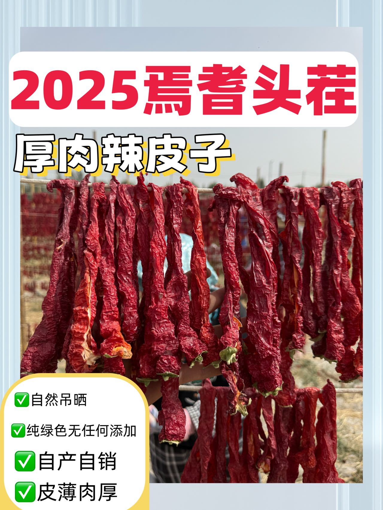新疆辣皮子红辣椒正宗焉耆厚肉微辣甜香适合大盘鸡拌面的干辣椒