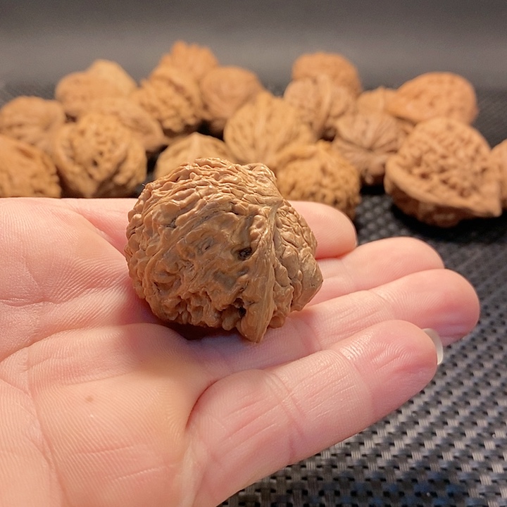 把件文玩核桃满天星蛇头全品
