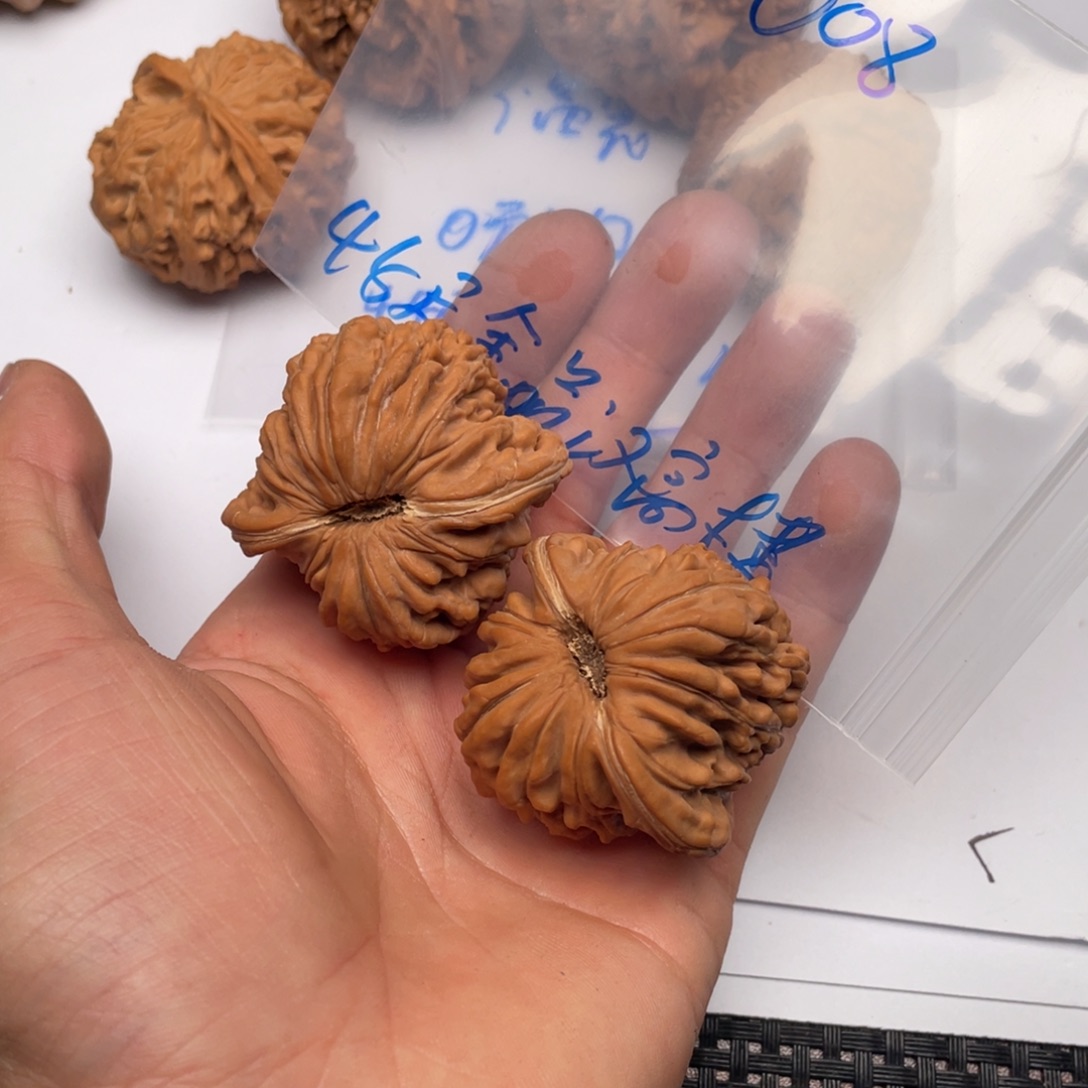 核桃手串/手链008