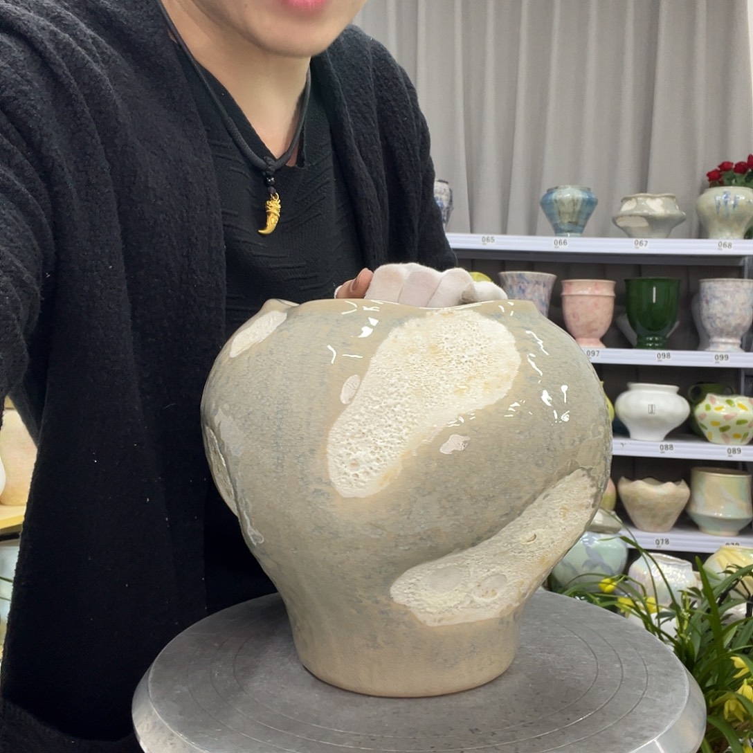 花盆里的小猫咪们都好可爱