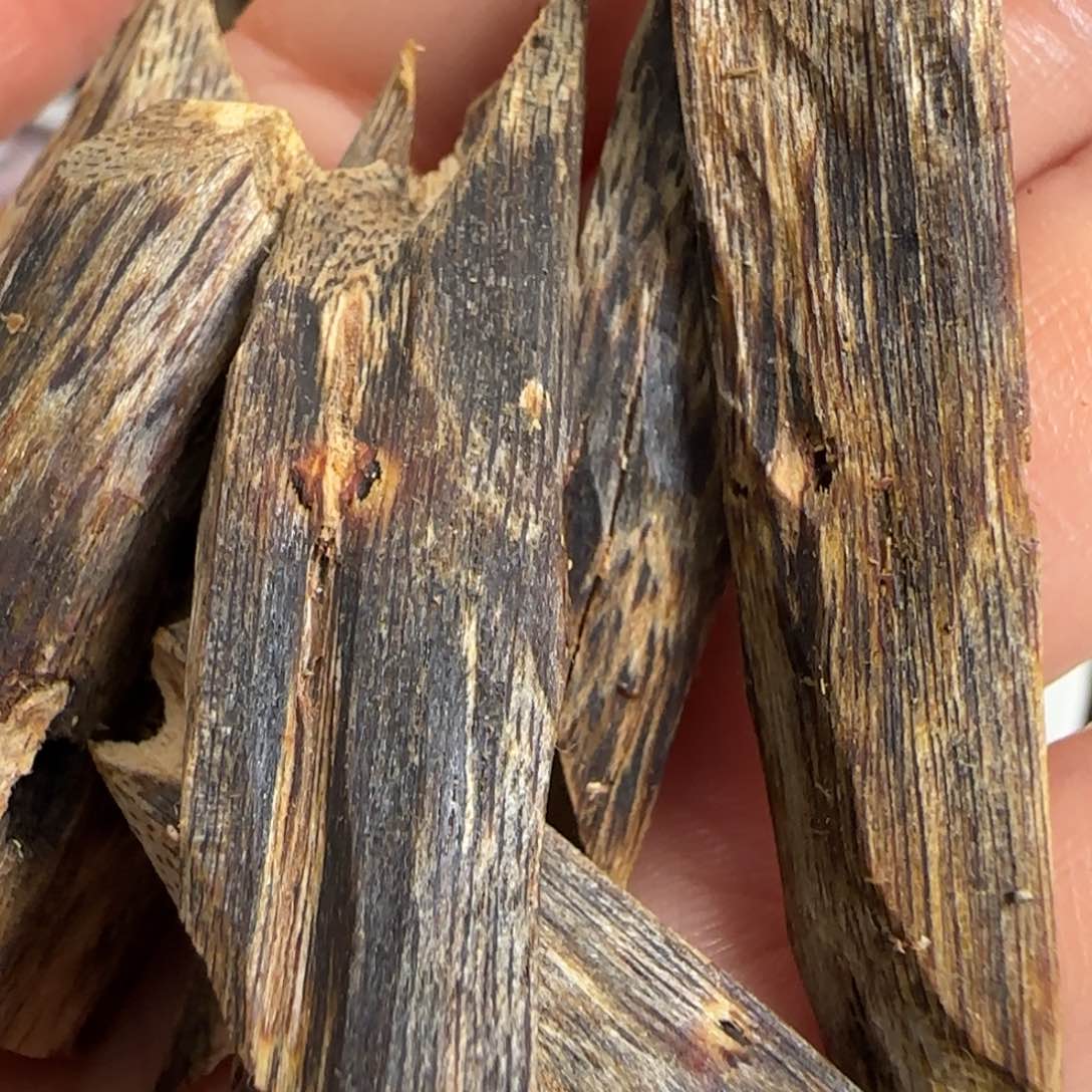 沉香木沉香碎屑奇楠乌身老白棋30g