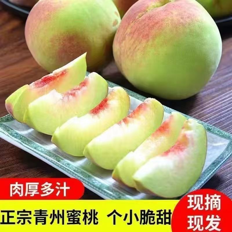 山东青州蜜桃新鲜采摘脆甜多汁肉厚多汁老少适宜孕妇小孩水果