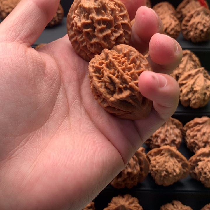 其他核桃M****y秦岭山脉的一