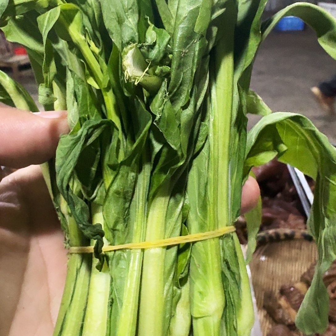 *****白菜中国大陆青菜