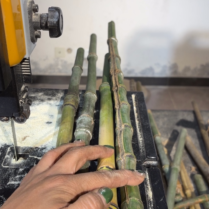 竹鸿**絮实心竹竹竹竹竹竹竹竹竹