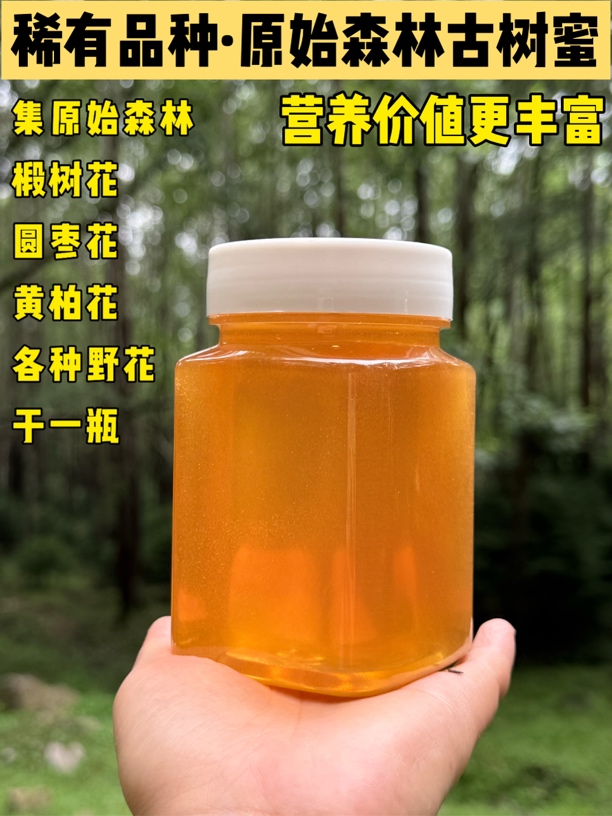 稀有品种·原始森林野生古树蜜会结晶（椴树、黄柏、元枣、各类野花）
