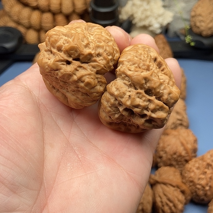 文玩核桃把件1*3蛤蟆头