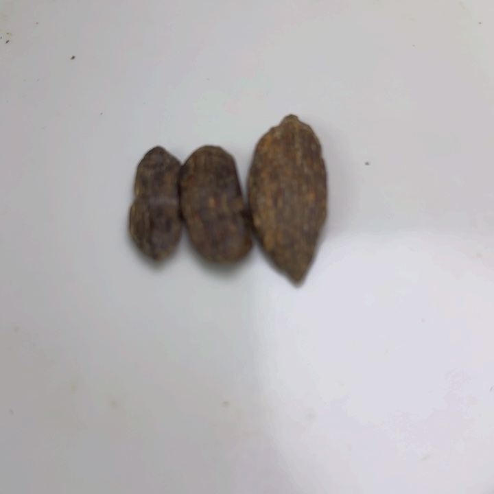 撇***生沉香碎屑沉香树心虫眼