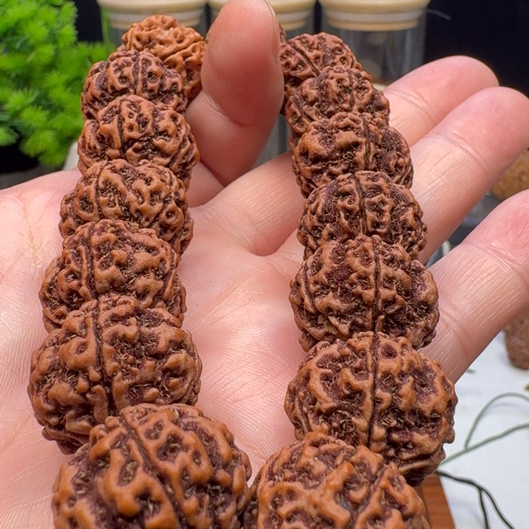 金刚菩提手串梅花双龙