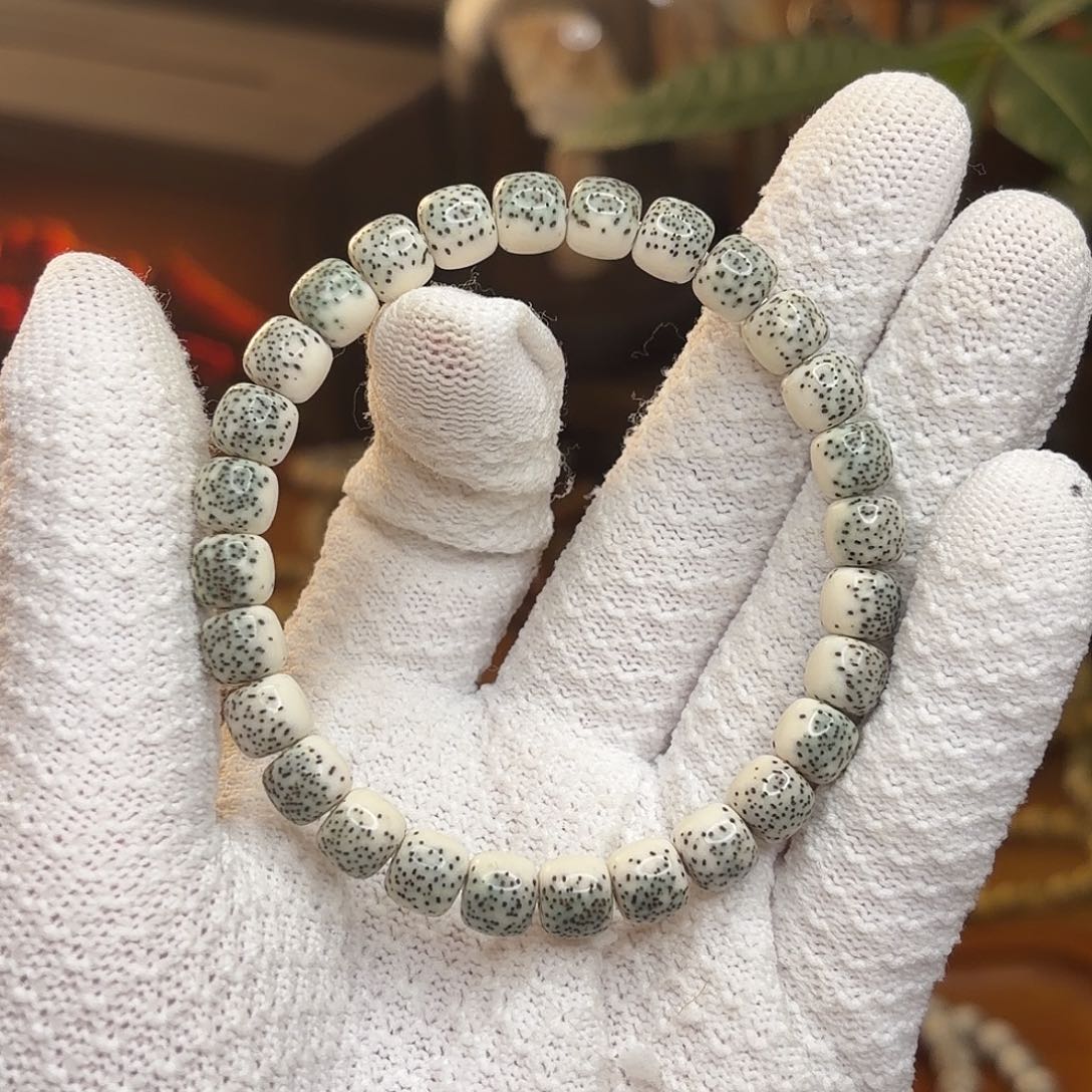 伏***魔毕业款87尺寸绿背河豚