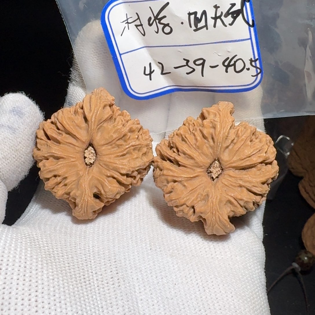 文玩核桃把件嘻****哈2号村将有黄