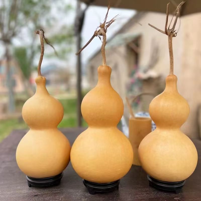 八宝小葫芦天然文玩带龙头 一物一拍直播间价格勿私自拍