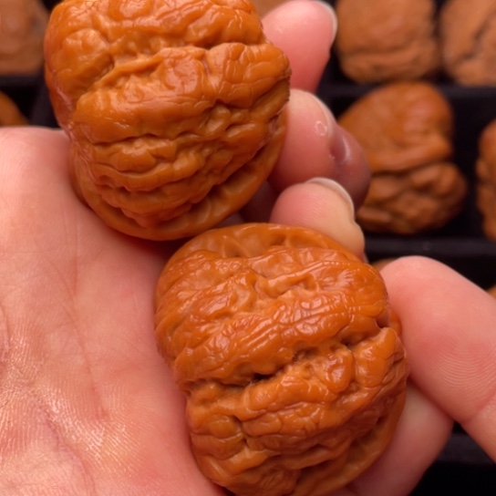 文玩核桃把件秦岭山脉核桃
