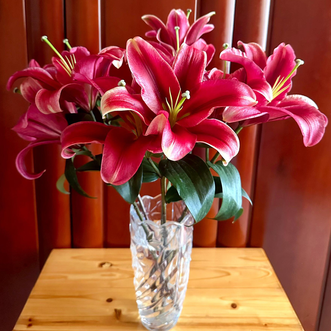 永恒的爱红色香水百合东北发货顺丰包邮