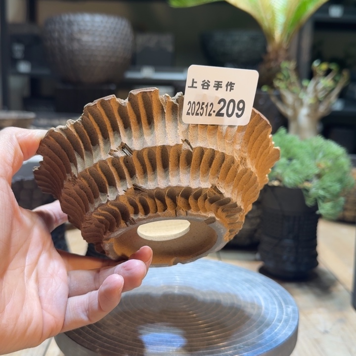 黑内口114高5.5无釉