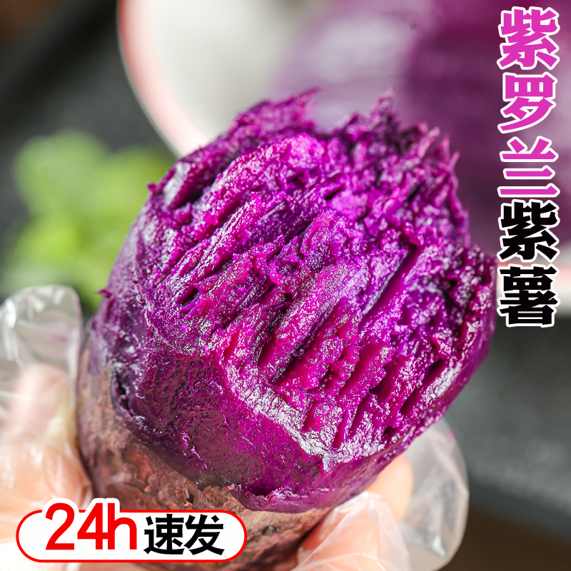 紫薯新鲜沙地现挖3/5/斤紫罗兰蜜薯糖心甜山芋番薯地瓜蒸煮粥小