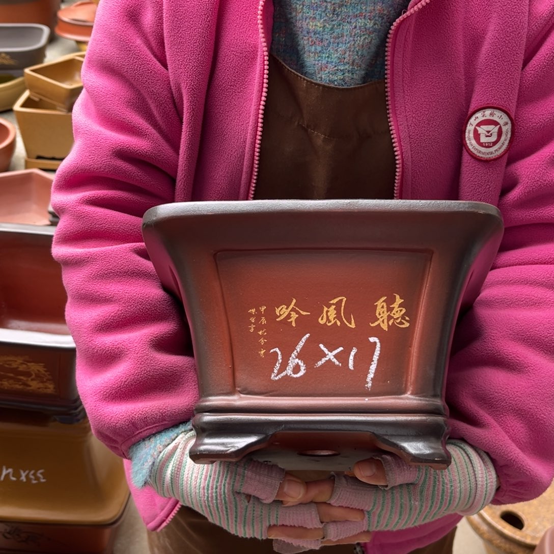 花盆紫砂盆景艺术