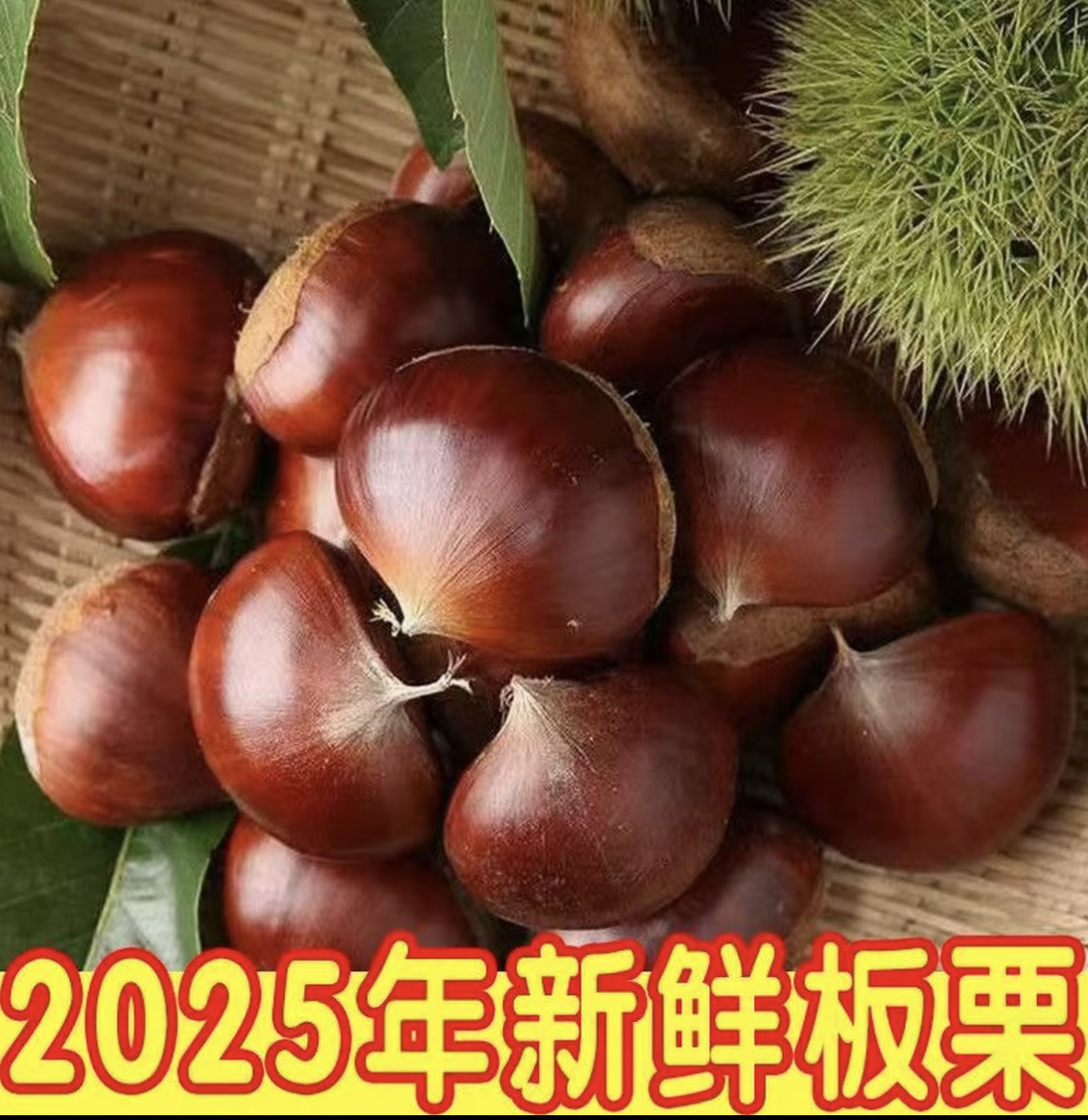 2025丹东生板栗粉糯香甜老人孕妇可食用低糖板栗 难剥皮 送栗爪