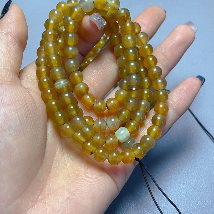 大果紫檀（缅甸花梨）