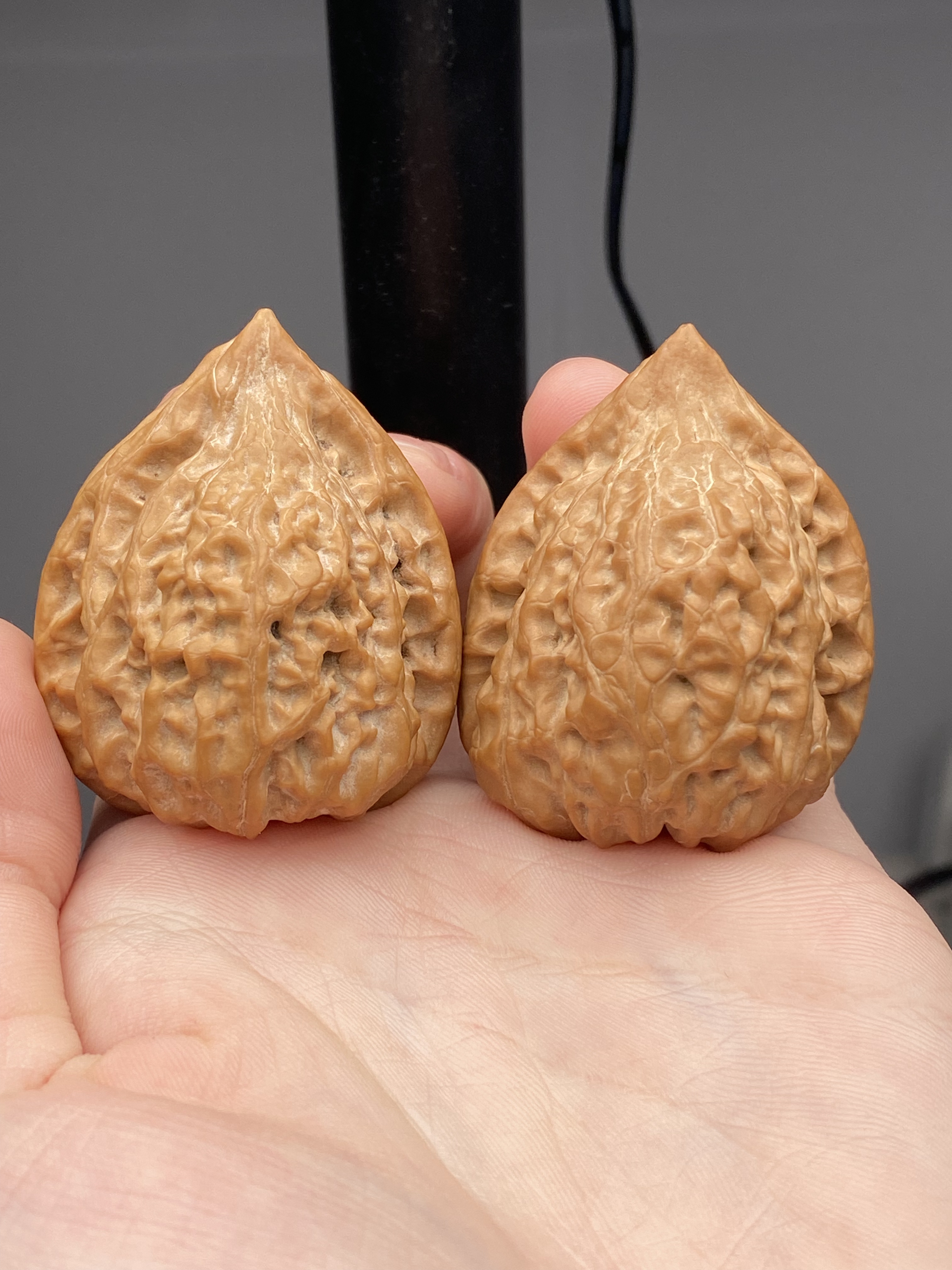 核桃品种：秦岭野生佛肚 007 (数量：2只)