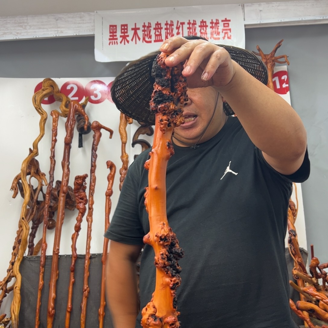 黑果木其他黑果木854