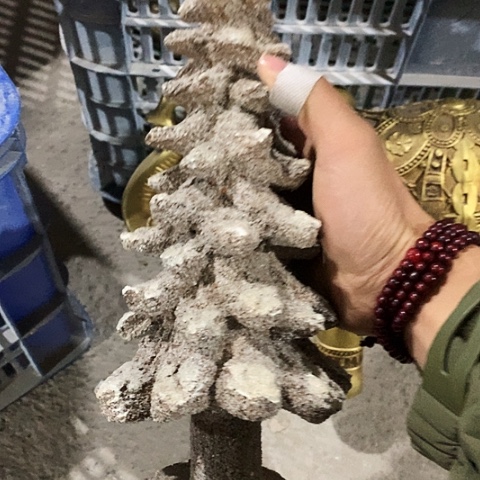 树脂树脂树脂。树脂