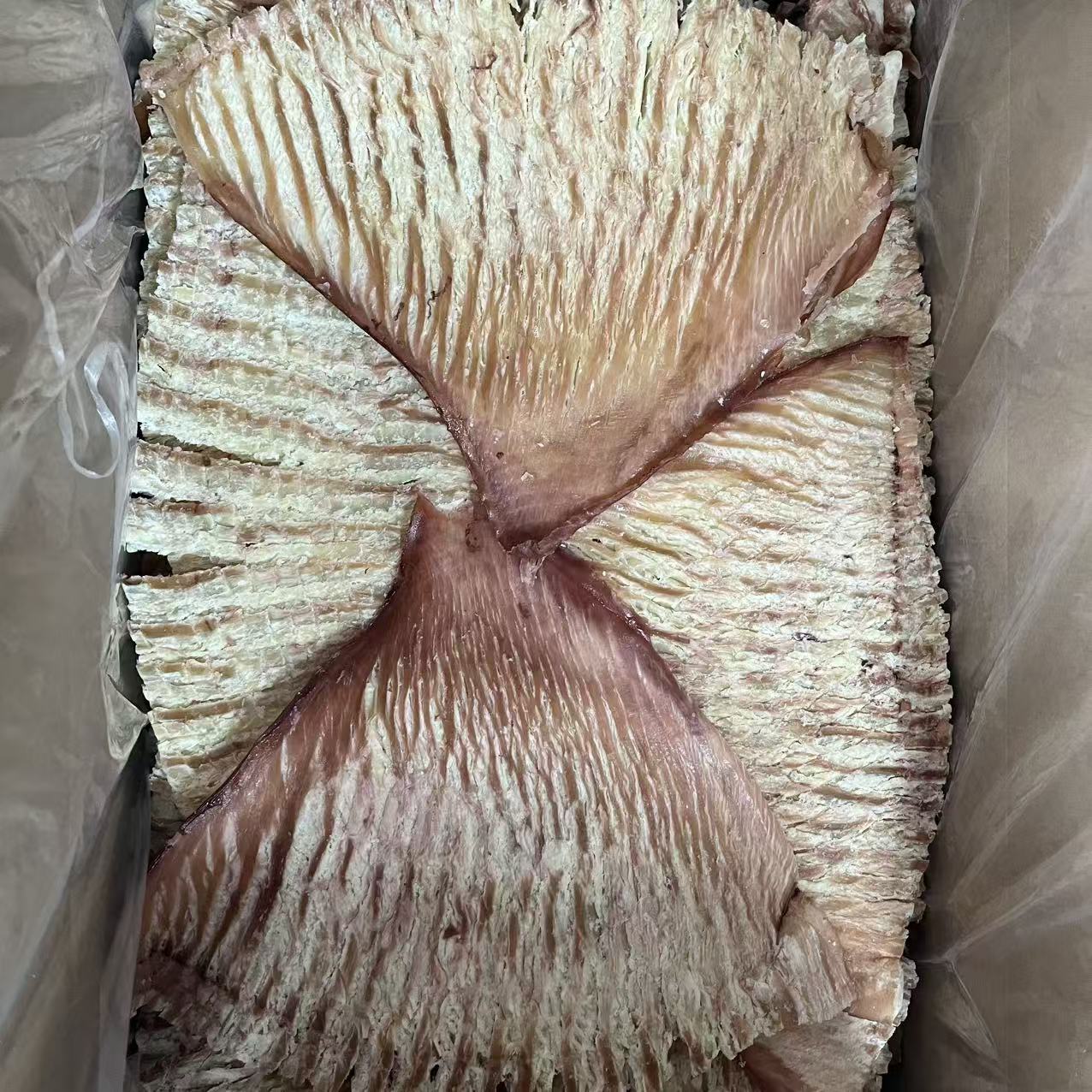 鱿鱼风琴片500g   