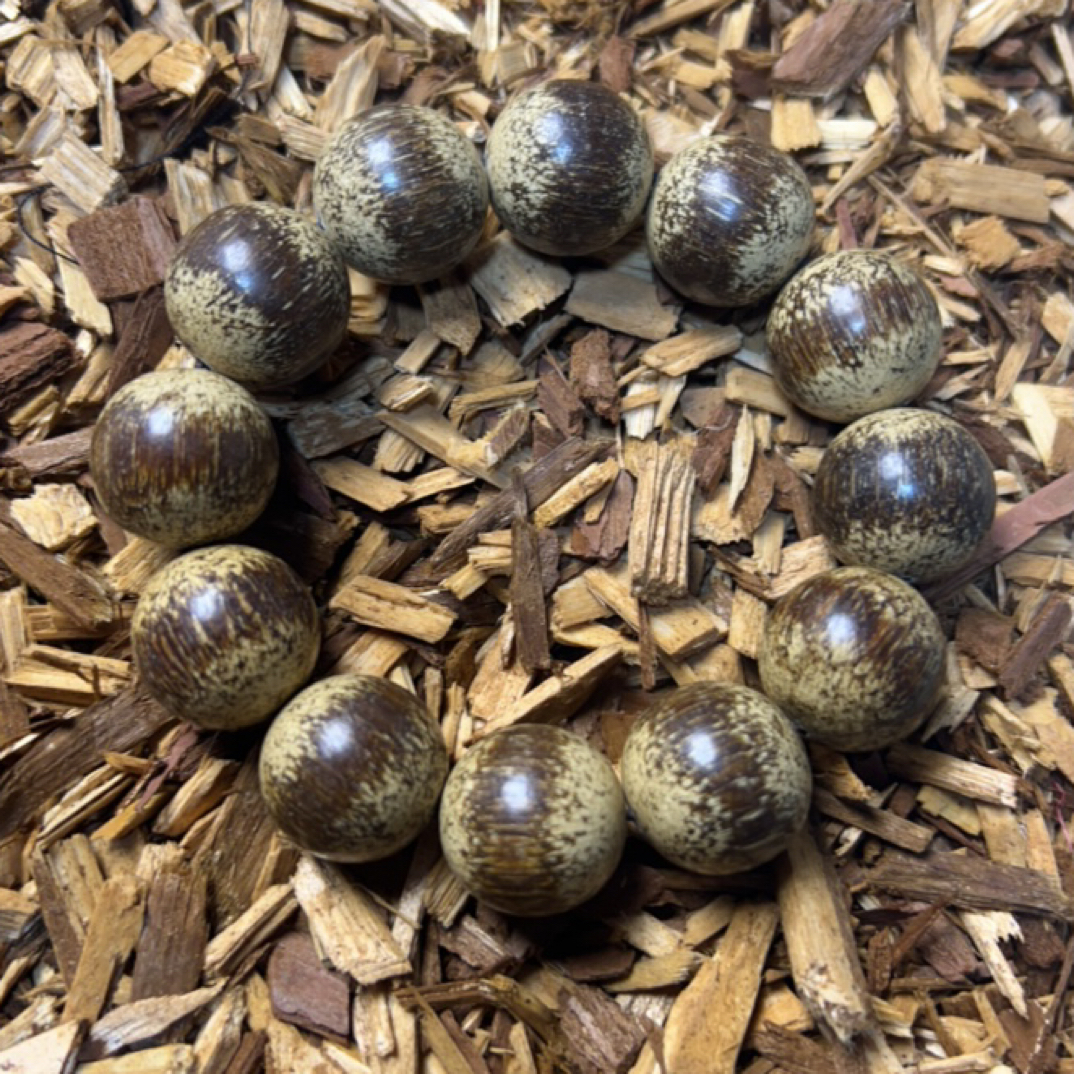 28 福来精选文玩沉香木作手串20mm