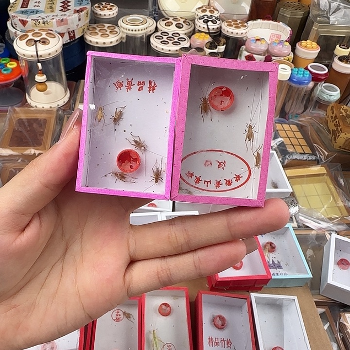 蟋蟀小黄蛉两盒包邮