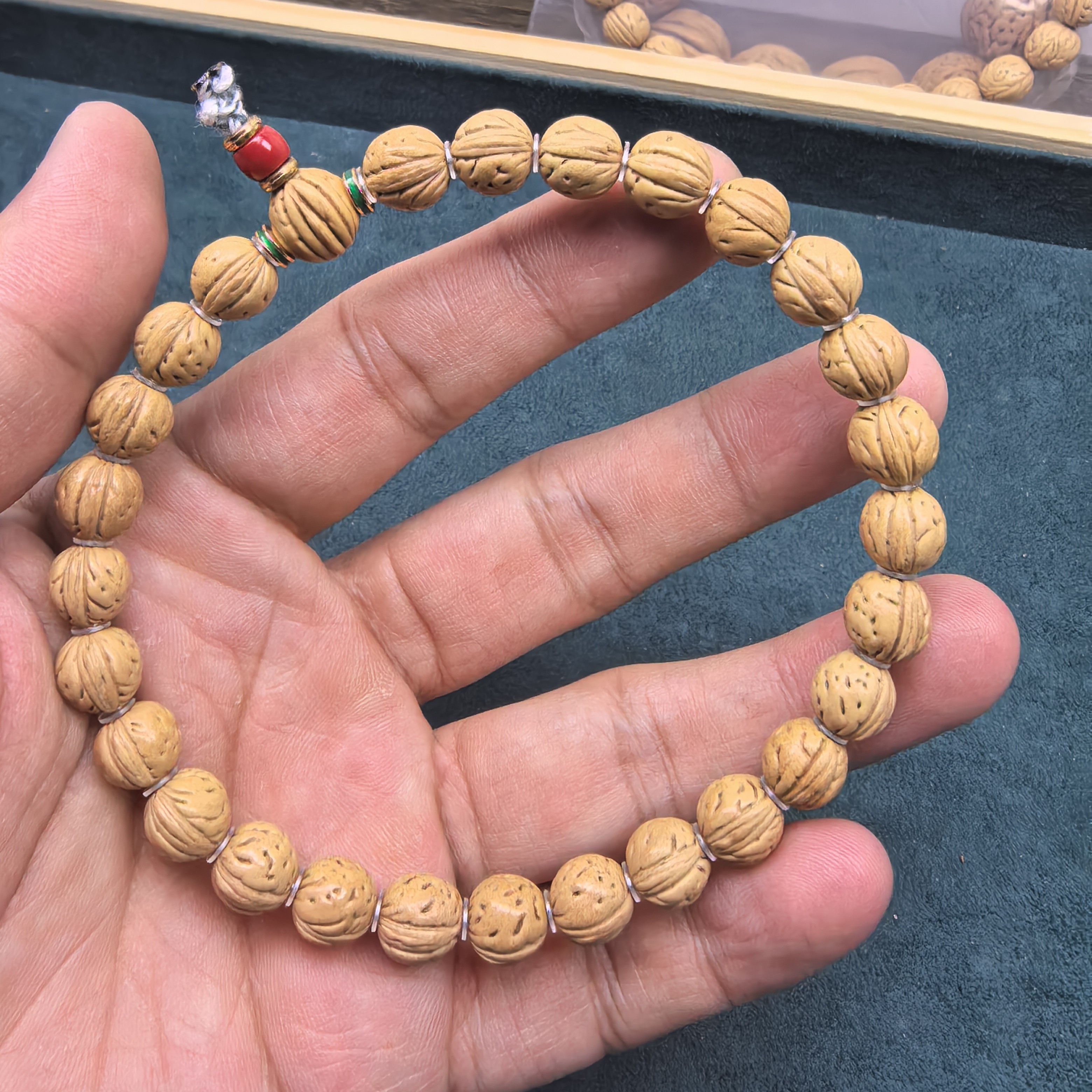 精品野生核王尺寸8.8桃核