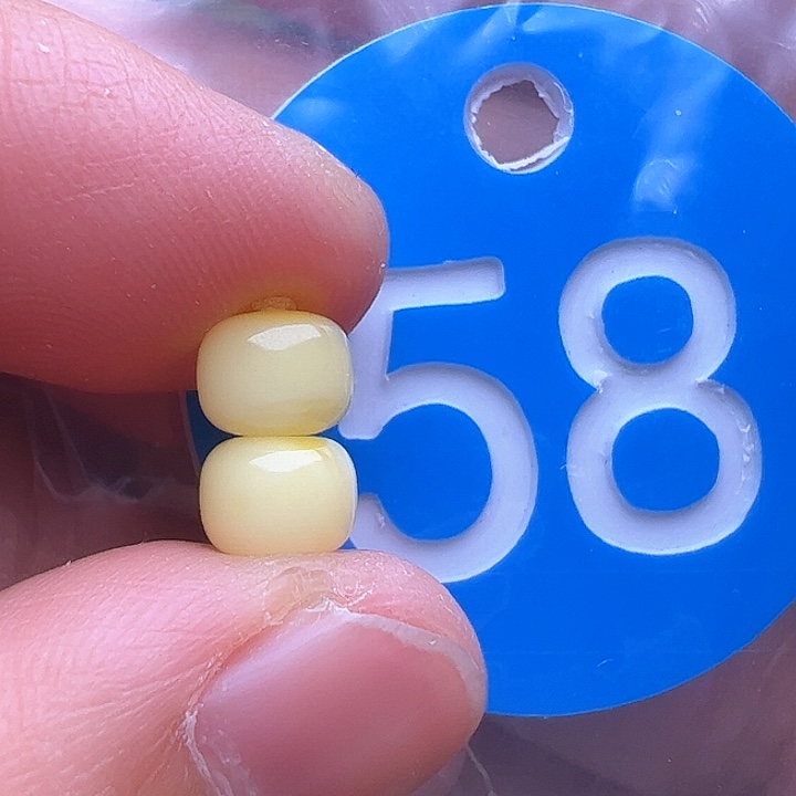蜜蜡裸石未镶嵌6.3m m