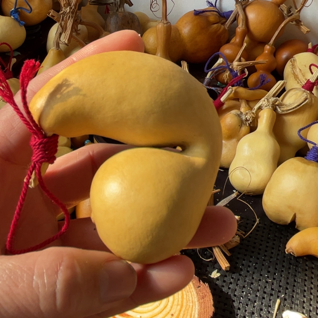 无***宝葫芦哈哈哈哈哈哈哈哈