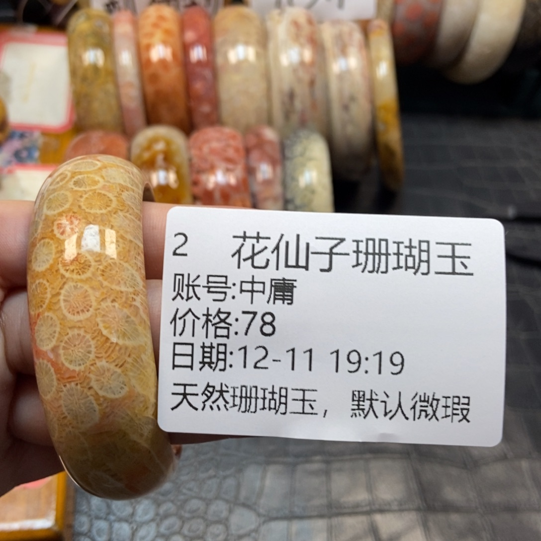 中***庸硅化珊瑚（珊瑚玉）未镶嵌珠宝半成品2