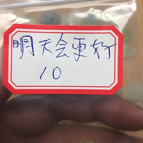 蛇纹石玉颈饰合金明****9