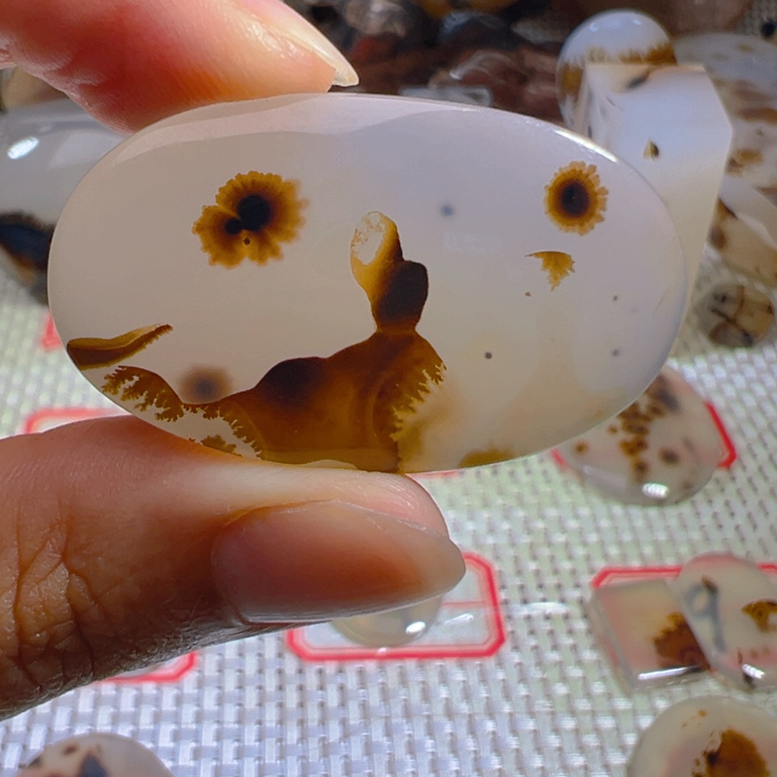 玛瑙/玉髓颈饰未镶嵌