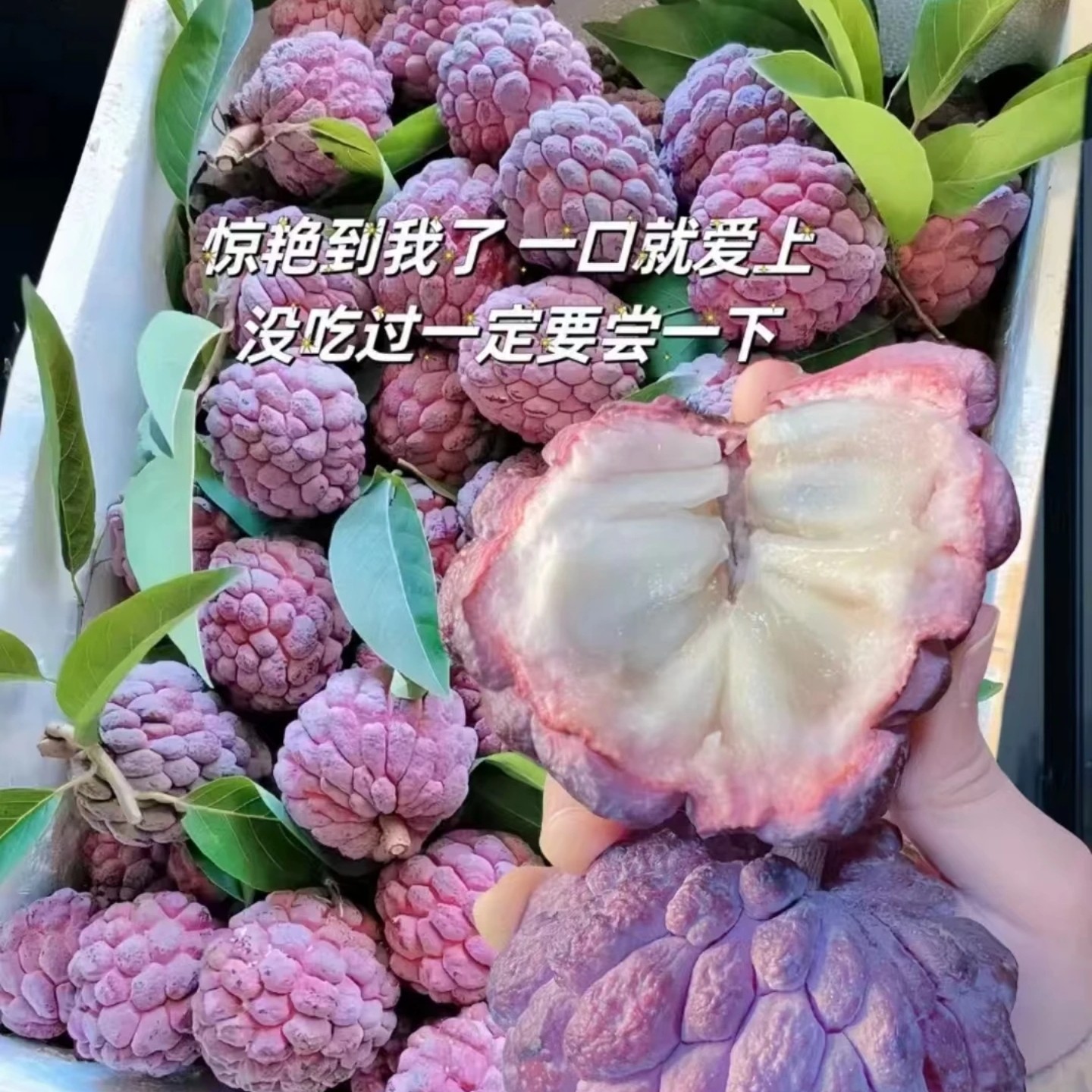 (顺丰包邮）【新鲜采摘】红玫瑰释迦果新鲜当季热带水果红皮佛头释迦