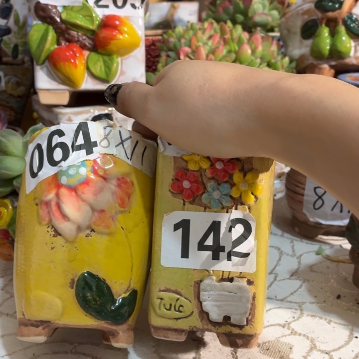 多肉花盆满15包邮爱退款拉黑