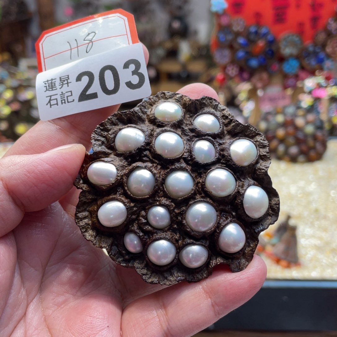 核桃木/黑胡桃（胡桃木）203珍珍